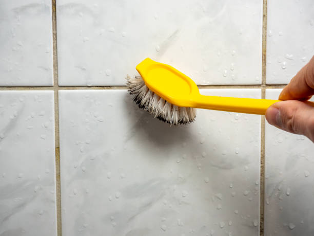 Best Localized Mold Remediation (e.g., coastal areas, humid climates) in Kemmerer, WY