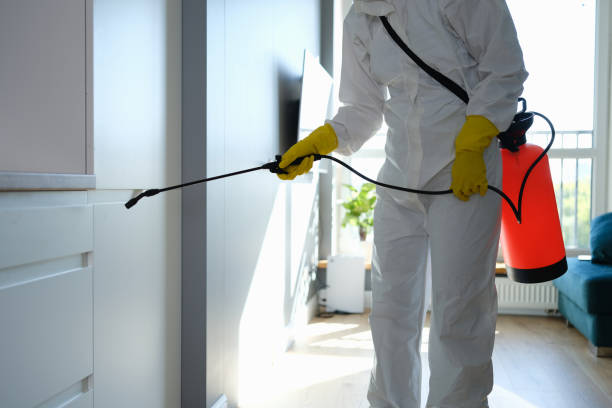 Best Mold Testing and Inspection Services in Kemmerer, WY